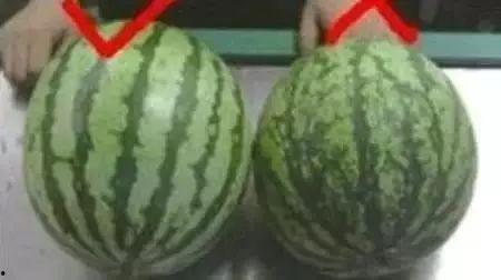 5今日大瓜,娱乐圈重磅爆料，揭秘明星幕后故事