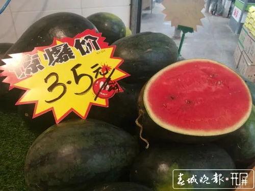 大毛瓜今日价,市场行情一览