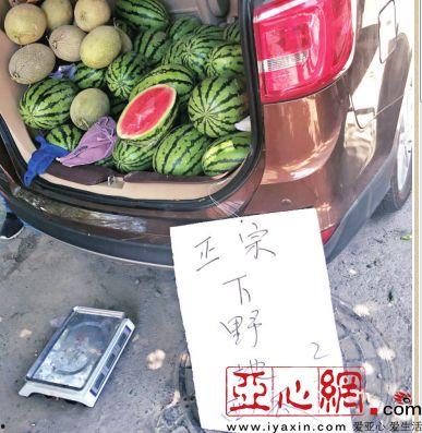 乌鲁木齐今日瓜价,今日瓜价行情一览”