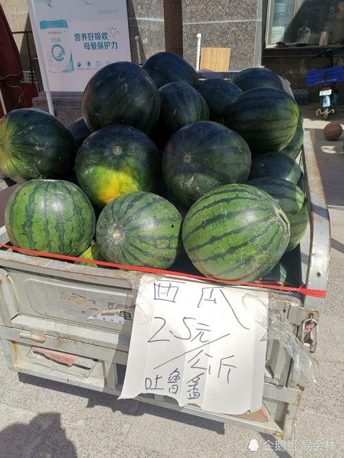 乌鲁木齐今日瓜价,今日瓜价行情一览”